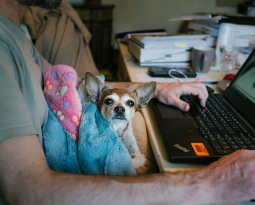 Spathe at Home: How We’re Staying Connected